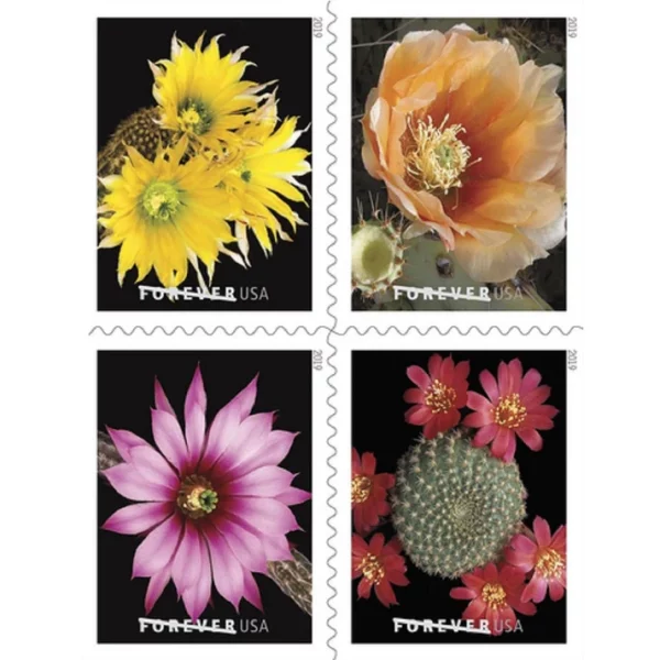Forever Stamps Cactus Flowers 2019 Stamps Coil of 100 PCS/Roll